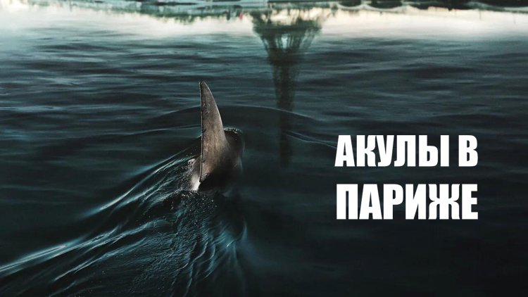 Как были созданы хищники в фильме «Акулы в Париже»?
