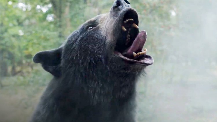 Was ‘Cocaine Bear’ Based on a True Story?