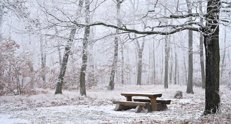10 отличных фильмов о зиме